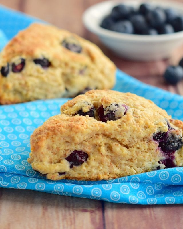 Vegan Scone Blueberry, Apricot
